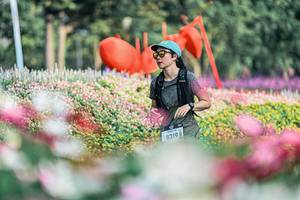 BIB: 
                            <button type="button" onclick="openModal(25932588)" class="btn btn-primary btn-sm float-right btn-popup" data-toggle="modal" data-target=".modal-high-quality">
                        <i class="fas fa-shopping-cart"></i> Add to Cart
                    </button>
                                            <button type="button" onclick="isThisMe(25932588, true)" class="btn btn-success btn-sm float-right btn-popup btn-isme hidden" data-toggle="tooltip" data-placement="bottom" title="นี่คือรูปของคุณใช่ไหม คลิกที่นี่เพื่อเอาเข้าอัลบั้ม">
                        <i class="fas fa-plus"></i> Add to album
                    </button>
                    <button type="button" onclick="isThisMe(25932588, false)" class="btn btn-warning btn-sm float-right btn-popup btn-isnotme hidden">
                        <i class="fas fa-ban"></i> Remove from album
                    </button>